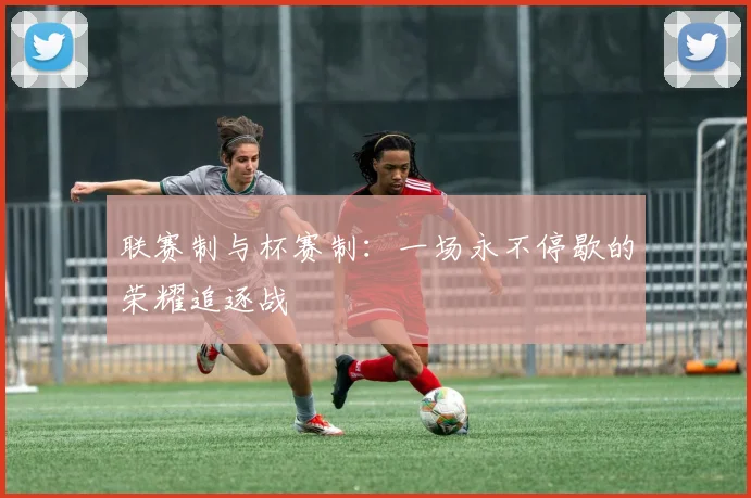 联赛制与杯赛制：一场永不停歇的荣耀追逐战