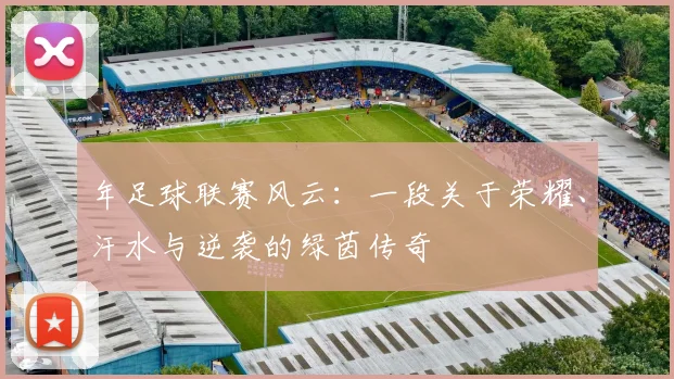 年足球联赛风云：一段关于荣耀、汗水与逆袭的绿茵传奇