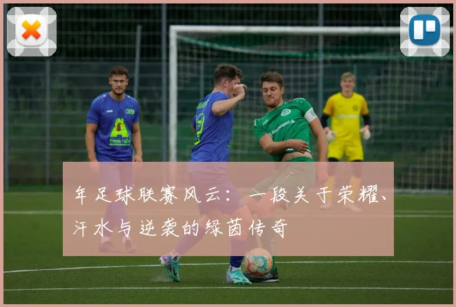 年足球联赛风云:一段关于荣耀、汗水与逆袭的绿茵传奇